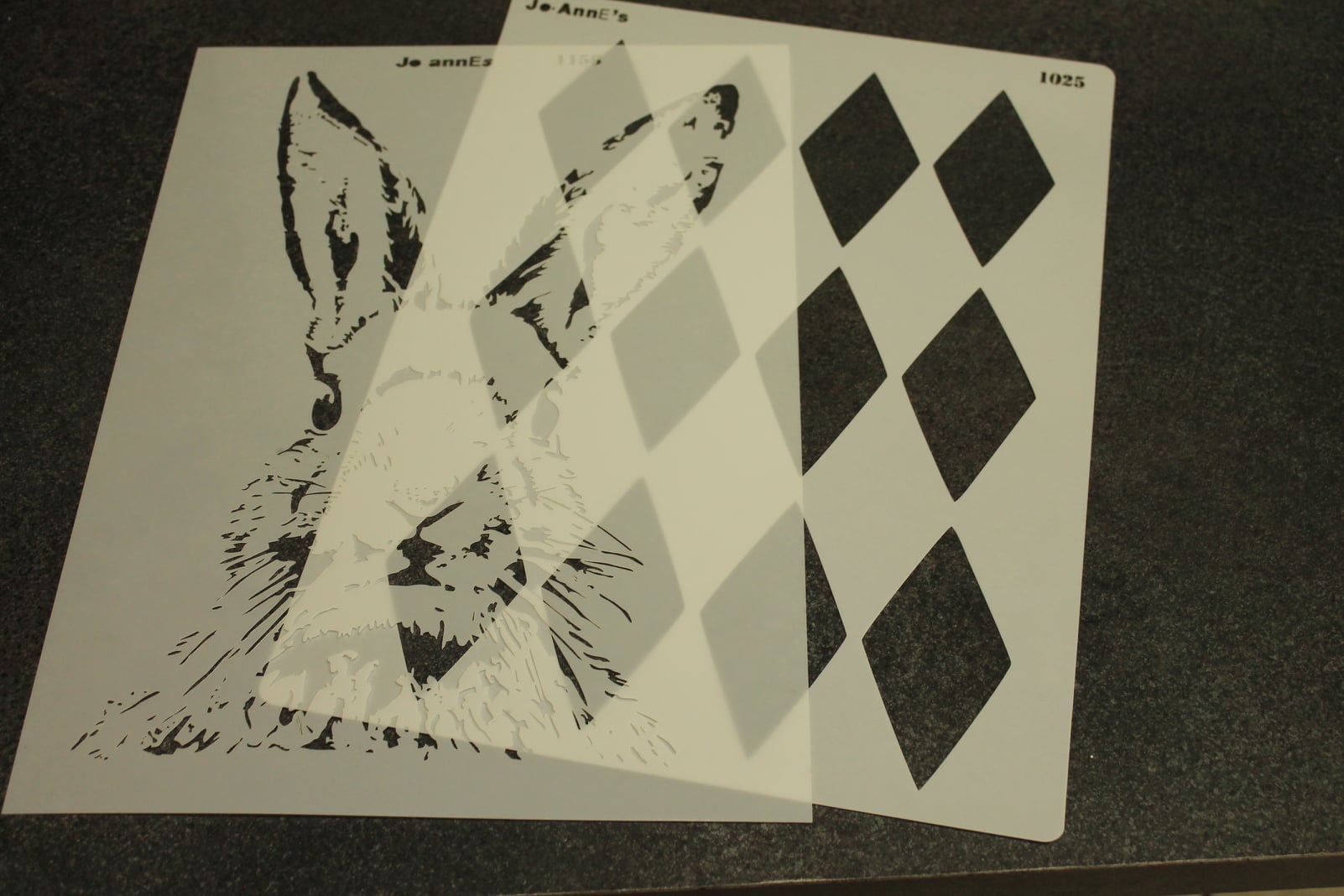 117931691_2588318878148496_3320450818453395687_o