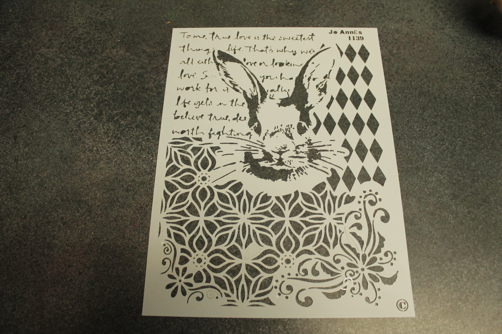 118340929_2594411850872532_8075477035763422282_o