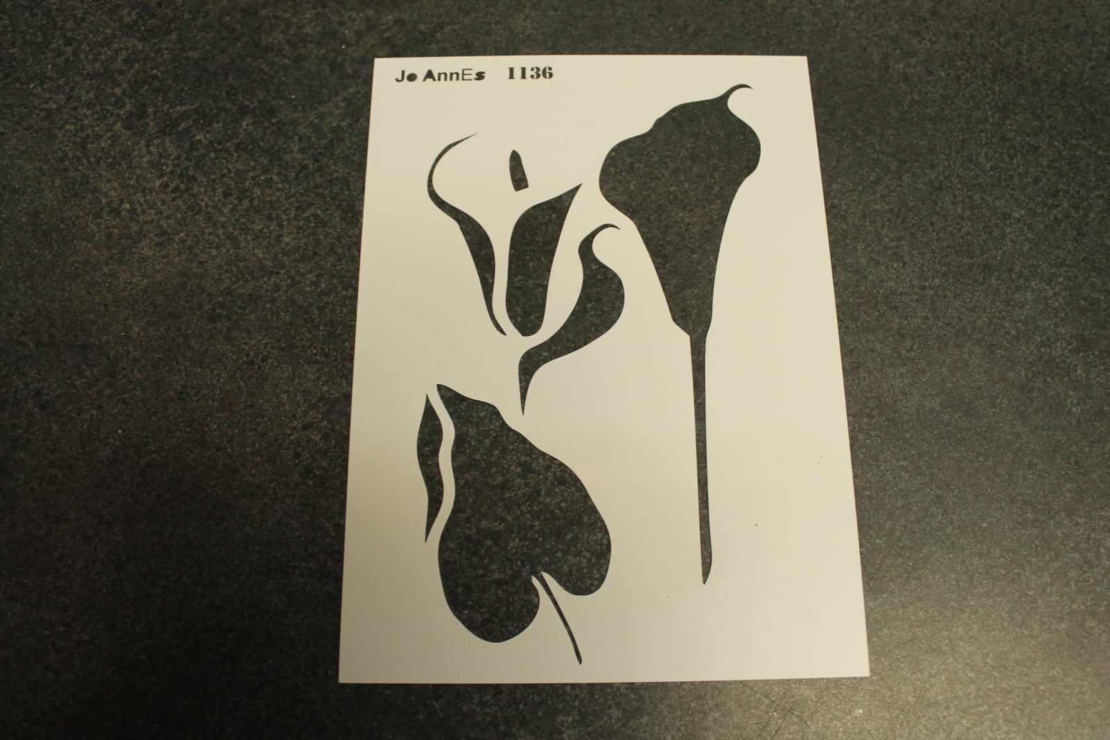 118409274_2594411264205924_9377079176246054_o