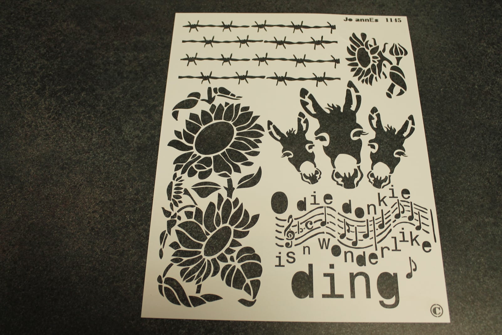 118595521_2594411957539188_4555124136161501591_o